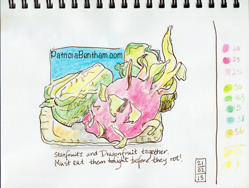 Dragon and Starfruit Together drawing by Patricia Bentham